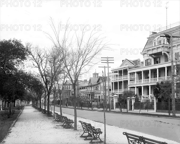 South Battery, Charleston, South Carolina, USA, Detroit Publishing Company, 1906