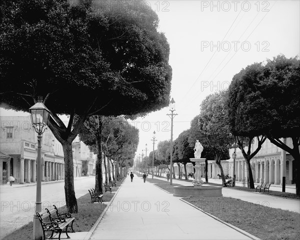 Prado, Looking South, Havana, Cuba, Detroit Publishing Company, 1900