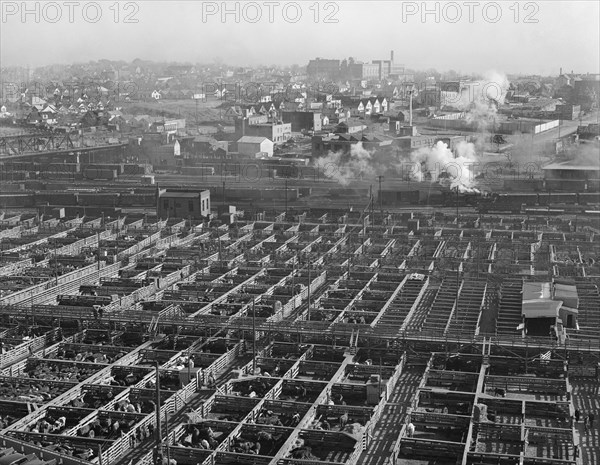 Stockyards, South Omaha, Nebraska, USA, John Vachon, Farm Security Administration, November 1938