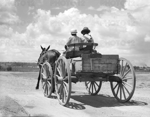Two People Riding in Horse-Drawn Cart on Rural Dirt Road, Rear View, Mississippi, USA, Dorothea Lange, Farm Security Administration