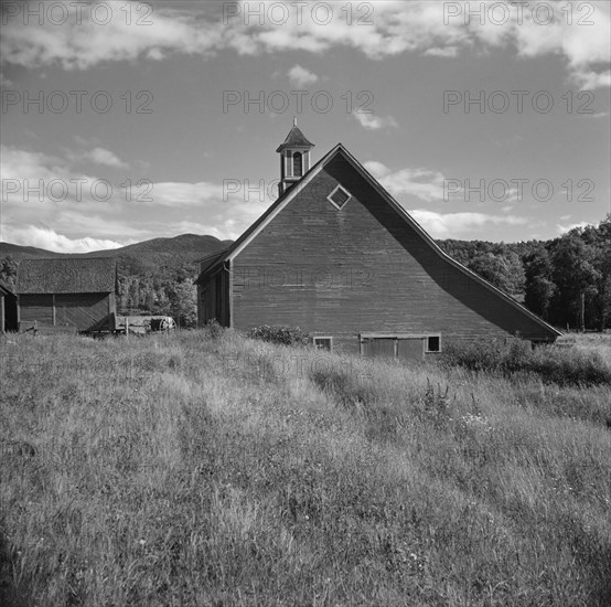 Barn and Hay Field, South Lincoln, Vermont, USA, Louise Rosskam, Farm Security Administration, July 1940