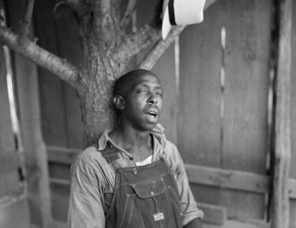 Man Sleeping Against Tree, Florence County, South Carolina, USA, Farm Security Administration, 1938