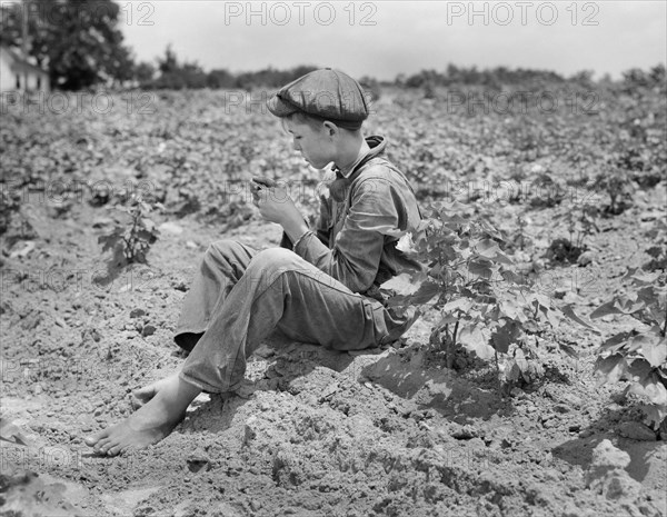 Young Sharecropper and Family on Rural Porch, Chesnee, South Carolina, USA, Dorothea Lange, Farm Security Administration, June 1937