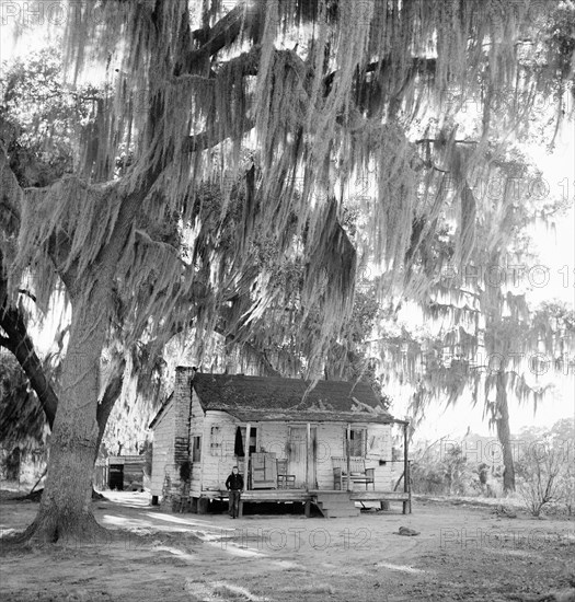 Rural Wood House near Summerville, South Carolina, USA, Marion Post Wolcott, Farm Security Administration, December 1938