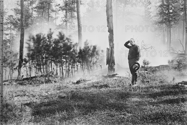 Forest Fire, South Dakota, USA, Bain News Service, 1910's