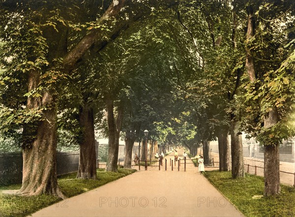 South Walk, Dorchester, England, UK, Photochrome Print, Detroit Publishing Company, 1905