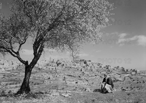 Portrait of Man Kneeling with Cityscape in Background, Bethlehem, West Bank, Matson Photo Service, March 1945