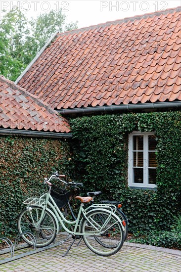 Two Bicycles next to Ivy Cottage