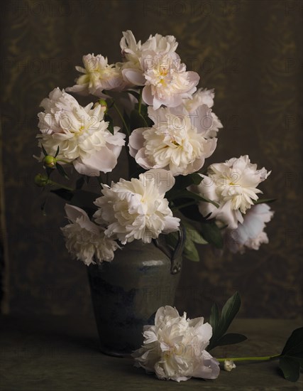 Bouquet of Peonies in Vase