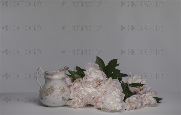 Bouquet of Pink Peonies on Table near Water Pitcher against Grey Background