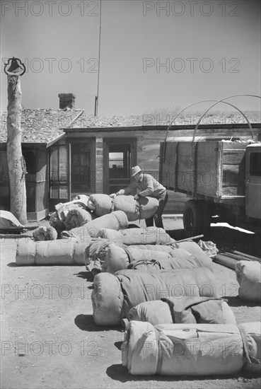 Bedrolls used in the Roundup, Quarter Circle U Ranch, Big Horn County, Montana, USA, Arthur Rothstein, Farm Security Administration, June 1939