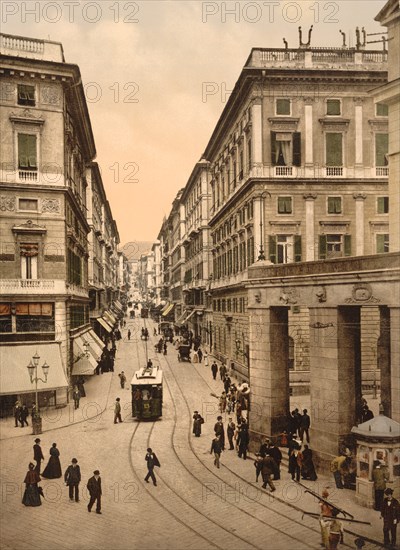 Via Roma, Genoa, Italy, Photochrome Print, Detroit Publishing Company, 1900