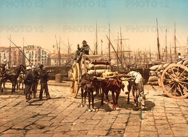 Wharf, Naples, Italy, Photochrome Print, Detroit Publishing Company, 1900