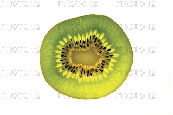 Kiwi Slice Close-up