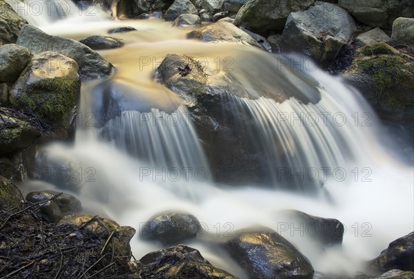 Flowing Creek