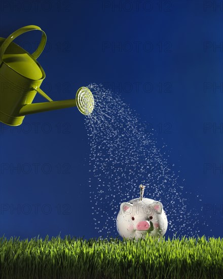 Watering Can and Piggy Bank on Grass