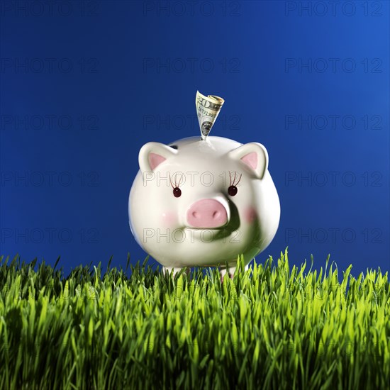 Money Growing from Piggy Bank on Grass