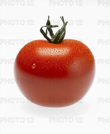 Whole Red Cherry Tomato with Water Droplets