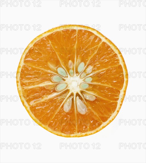 Fresh Orange Sliced in Half