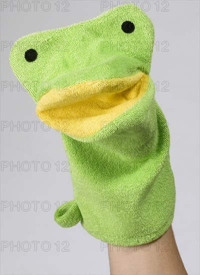 Frog Puppet