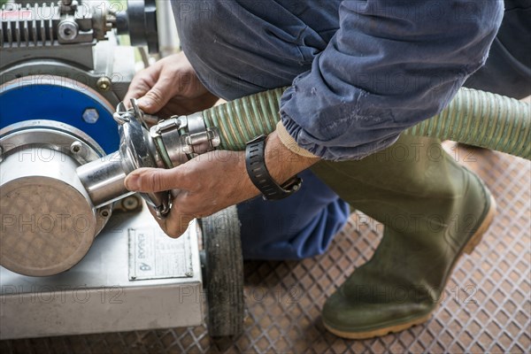 Worker at Winery, Gattinara, Piedmont, Italy 3