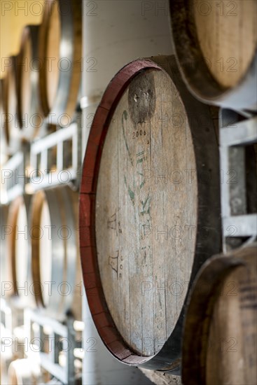 Wood Wine Casks in Winery