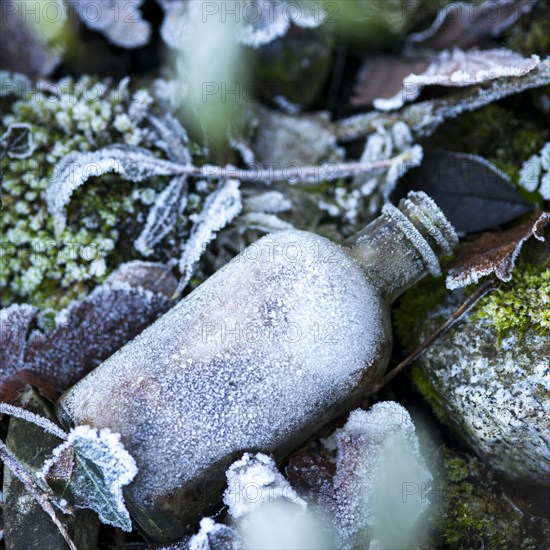 Frozen Bottle and Leaves on Ground