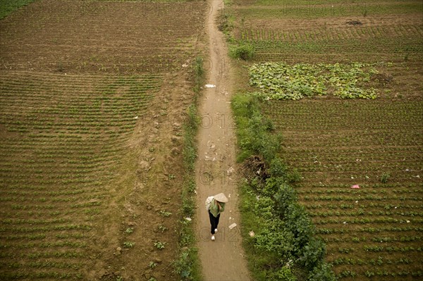 Vietnamese Farmer Walking Along Dirt Path