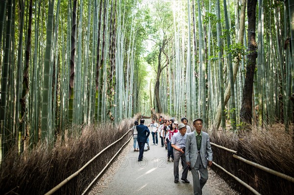 Group of People Walking Through Bamboo Forest, Kyoto, Japan