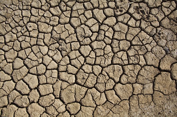 Cracked and Dry Desert Ground, High Angle View