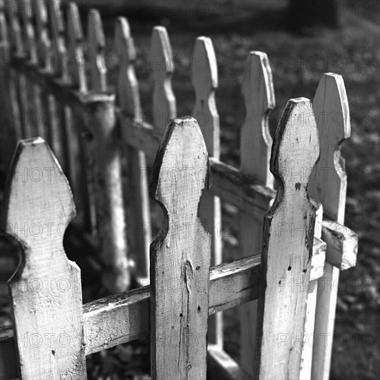 Old White Picket Fence