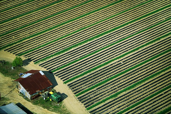 Farm Lines, high Angle View