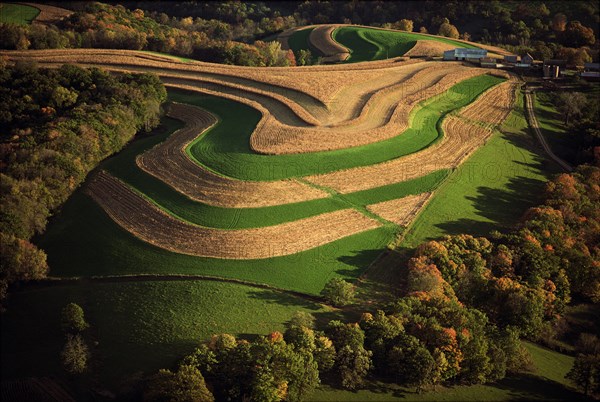 Sculpted Wheat Fields, High Angle View