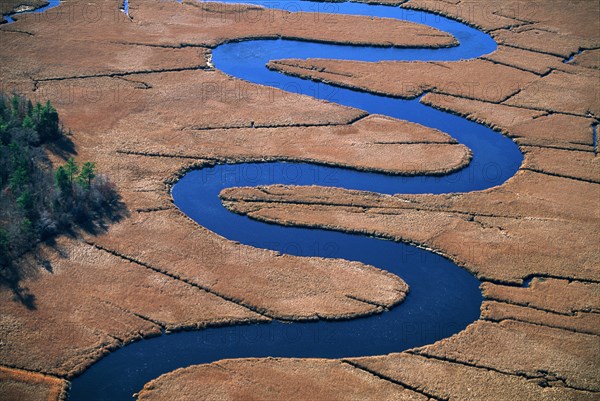 Serpentine, North RIver & Wetlands, North Carolina, USA, High Angle View