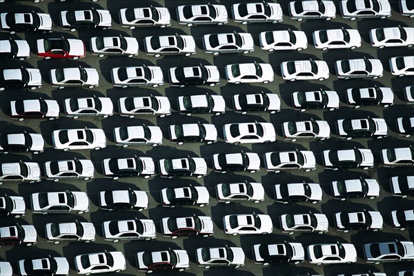 Rows of White Cars, High Angle View