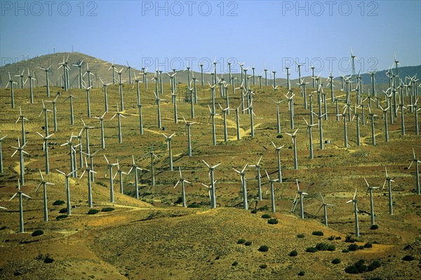 Windmill Farms, Tehachapi, California, USA