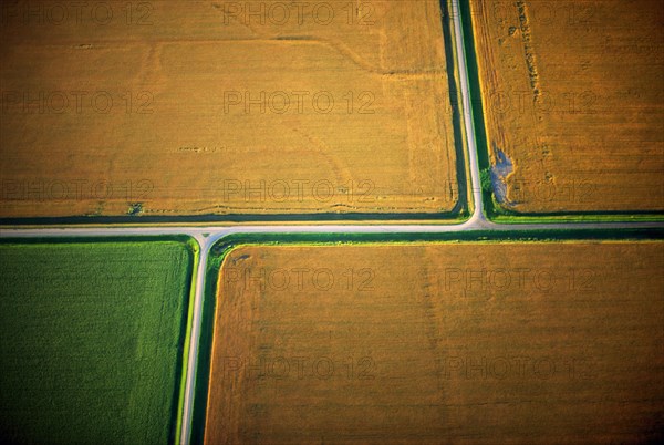 Tan Fields, High Angle View