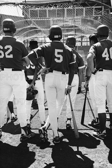 Group of Baseball Players