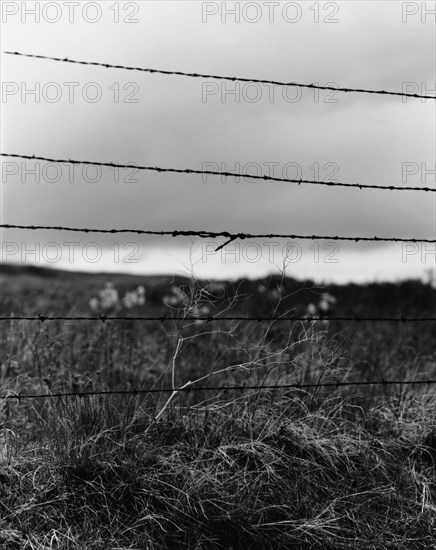 Barbed Wire Fence