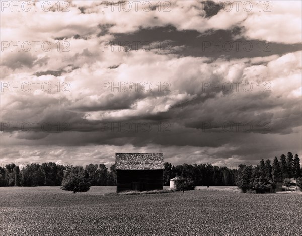 Old Barn In Field