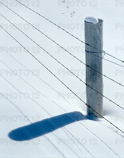 Barbed Wire Fence Post