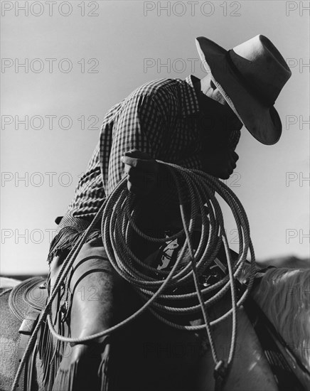 Cowboy in Saddle