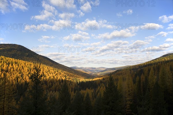 Landscape with Mountains and Golden Larch Trees