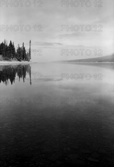 Trees Reflecting at Edge of Lake