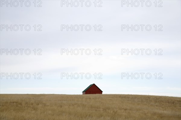 Lone Barn in a Field