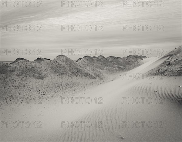 Beach Sand Dunes