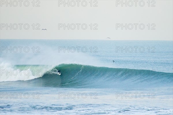 Surfer in Wetsuit Riding Wave, San Francisco, California, USA