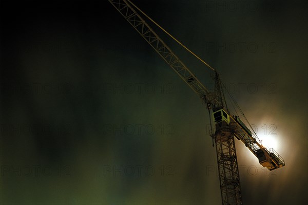 Crane and Moon at Night