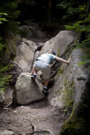 Young Boy Climbing Rocky Path in Woods, Rear View