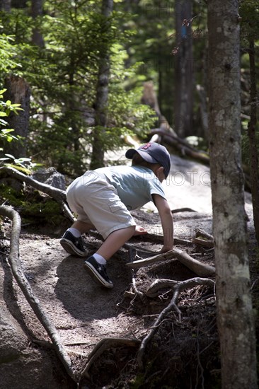 Young Boy Climbing Rocky Path in Woods, Rear View